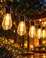 Waterproof Solar Outdoor String Lights